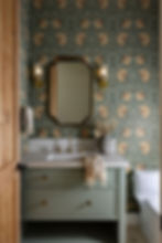 Transitional New Build