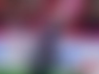 Lucas Fernandes marca quinto gol no Campeonato Japonês e soma 15 assistências pelo Cerezo Osaka