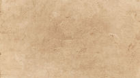 Cream and Brown Photographic Beauty Site Launch Website.jpg