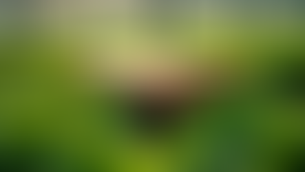 Boosting Crop Growth: AI Devices for Hydroponic Farming