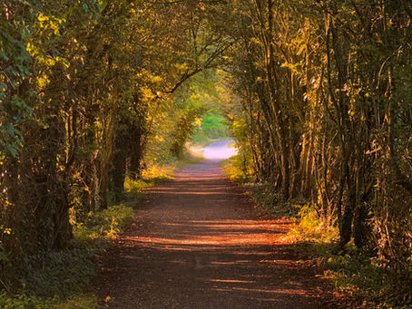 Gratitude Changed My Perspective: Learning to Appreciate the Life I Already Have