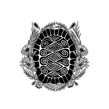 Old Turtle Logo