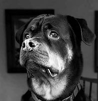 a max_edited_edited.jpg