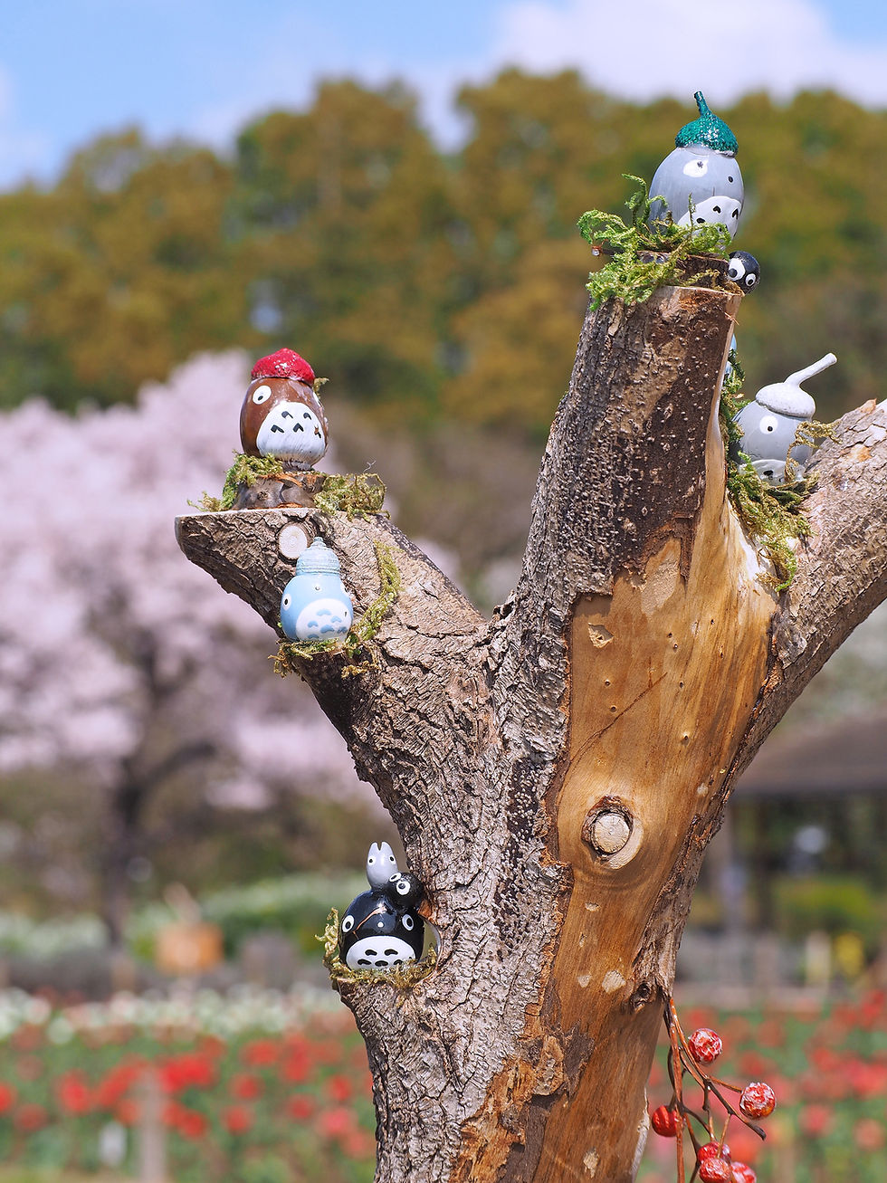 cherry blossoms and totoro figures