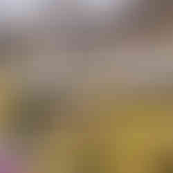 Japanese retro marketplace