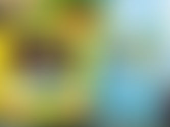 Fall Updates!