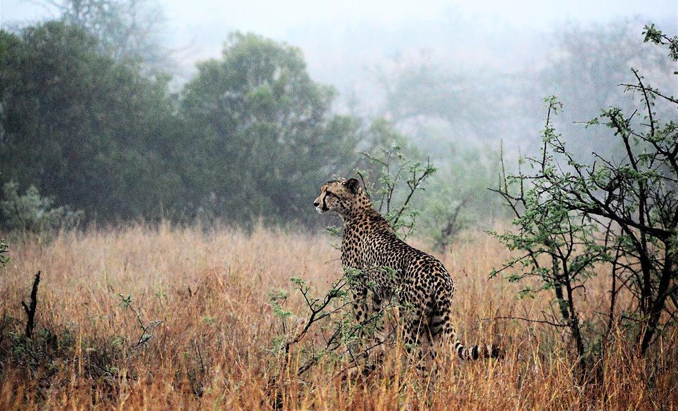 knp oct 2014 2 070 (2)