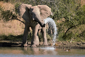 KNP Oct 2014 023 (2).jpg