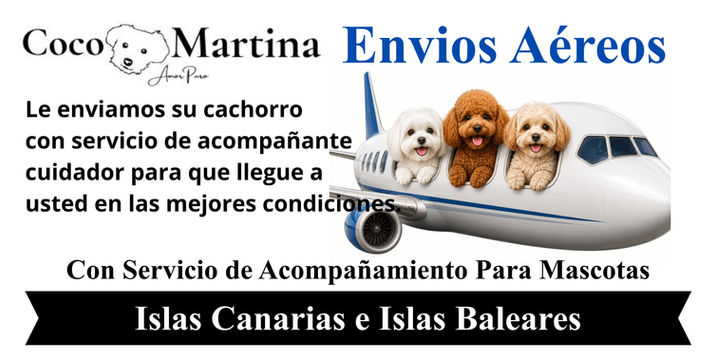 CocoMartina Envios Aéreos