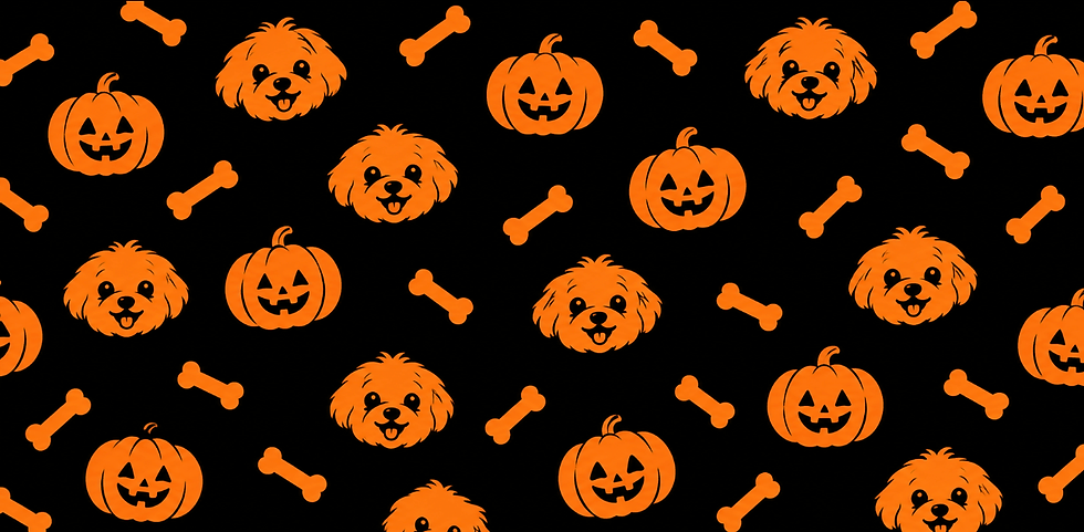 Fondo decoración Halloween