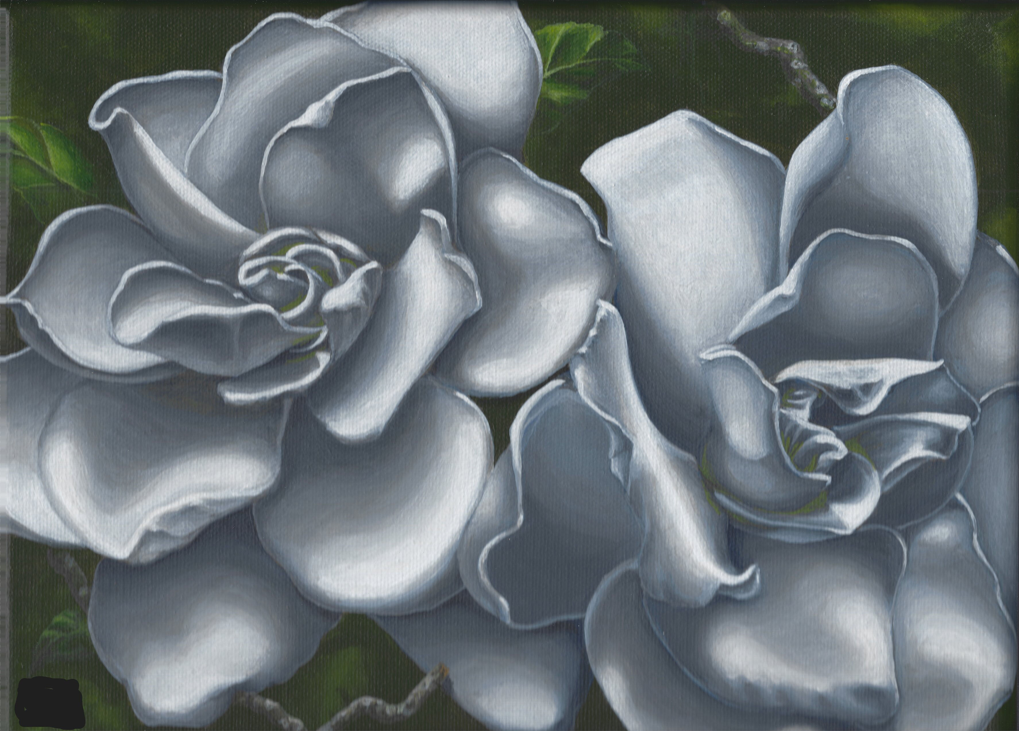 My Wife's Gardenias, 3" x 5" Note Cards (set of 3, with envelopes)