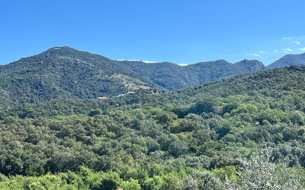 Walking into the surrounding countryside and up into the Albères mountains