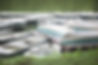 IMG_4989.jpeg