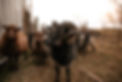 FirstDraft-105.jpg