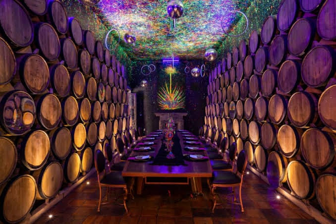 Tours guiados en Destilería Casa Sauza Tequila, Jalisco