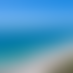 Treasure Costa da Flórida: diversão nas praias repletas de natureza do Oceano Atlântico