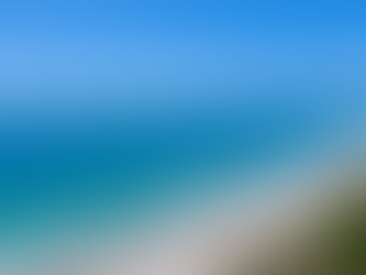 Treasure Costa da Flórida: diversão nas praias repletas de natureza do Oceano Atlântico