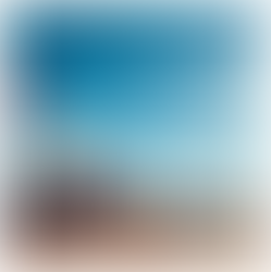 A New Era of Immigration Enforcement Unfolds in the U.S. Interior and at the Border under Trump 2.0