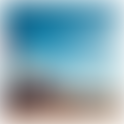 A New Era of Immigration Enforcement Unfolds in the U.S. Interior and at the Border under Trump 2.0