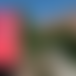 Paciente que buscava atendimento em hospital do NIH é detida pelo ICE