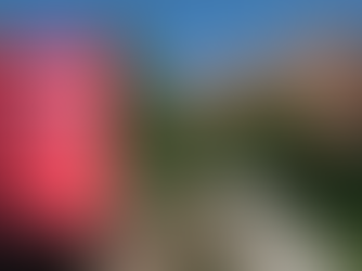 Paciente que buscava atendimento em hospital do NIH é detida pelo ICE