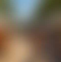 Mercado de Agricultores de Orlando