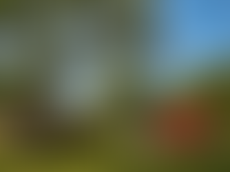 'Gato em uma árvore? Não!' Autoridades da Flórida compartilham detalhes do resgate inusitado