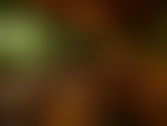 The Funky Vibes of 1970s Rio de Janeiro Land in Brickell