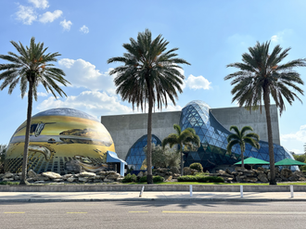 Descubra o Dali Museum em St. Petersburg, Florida