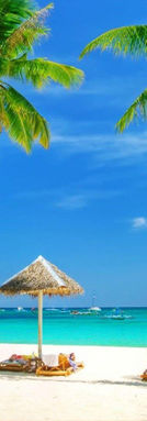 GOA