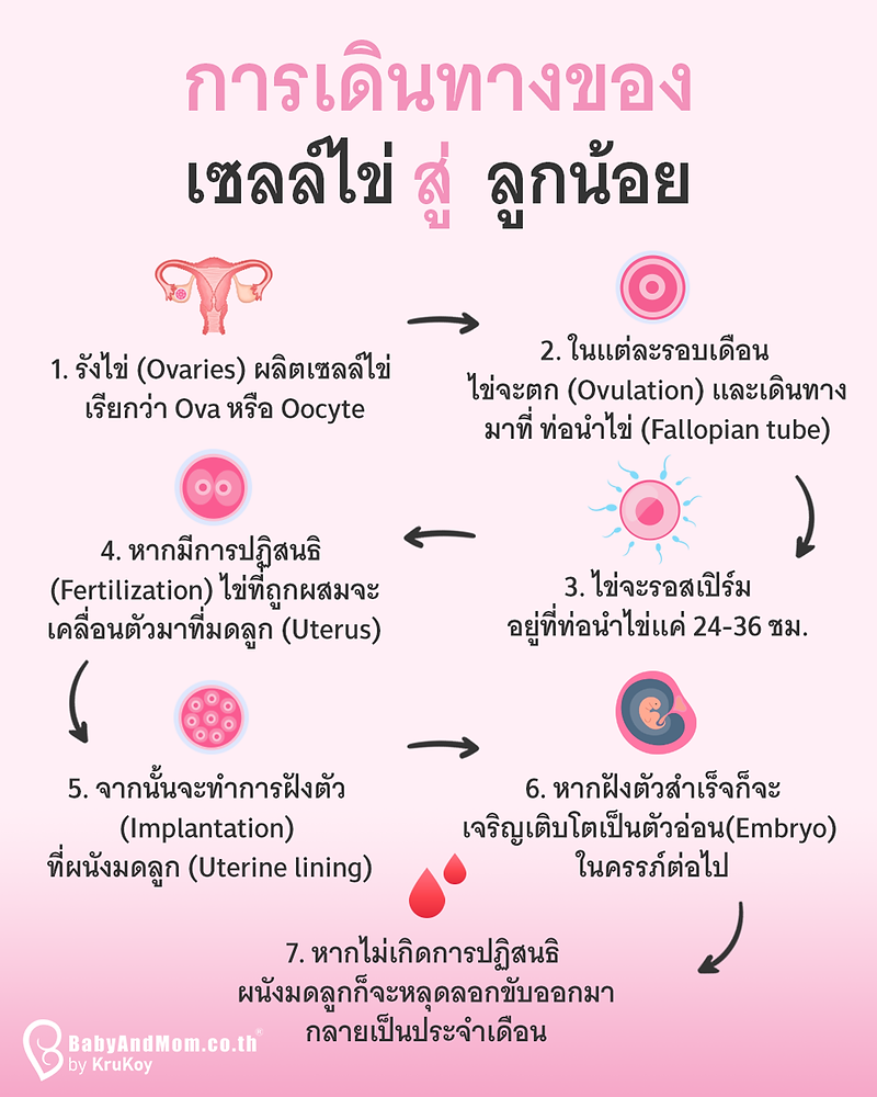 My Image 7