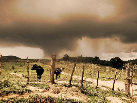 DIA 4, CONCEIÇÃO DO MATO DENTRO, ETAPA 2013, ESTRADA REAL