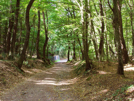 EP. #35 - Acquapendente / San Lorenzo Nuovo / Bolsena / Sant' Antonio / Montefiascone