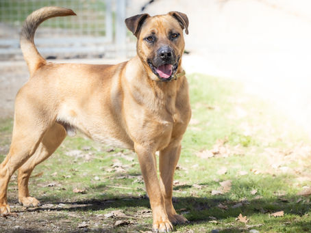 Tao, x Dogue né en Janvier 2024 