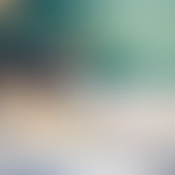 Flocky, x Berger né en Janvier 2024 