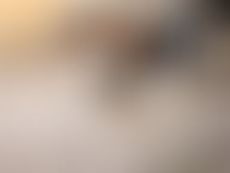 Rio, x Ariégeois né en Décembre 2024