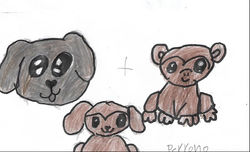 ANA VICTORIA 2B PERRONO