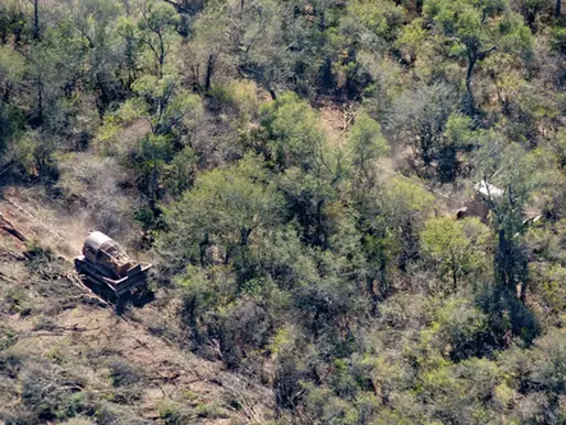 Trillion-Dollar Investor Alliance Presses for Swift Action on Deforestation Risk