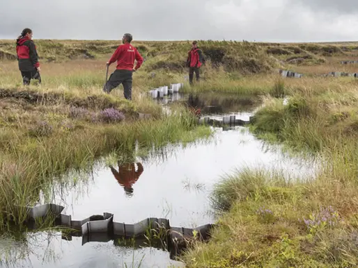 National Trust Lays Out Ambitious Climate Plan to Hit Net-Zero by 2030
