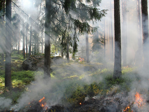 U.S. Faces Highest Economic Losses from Natural Disasters in Nearly a Century