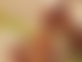 Hawaiianpaint KAN | Light, Nature, and ALOHA