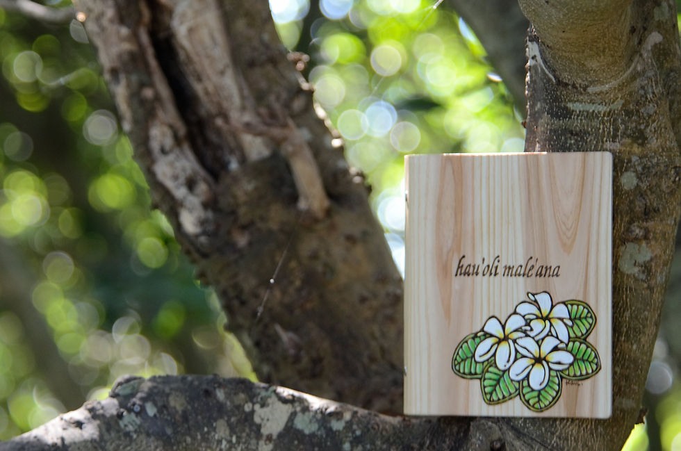 サムネイル： WoodFile101 - Little Plumeria