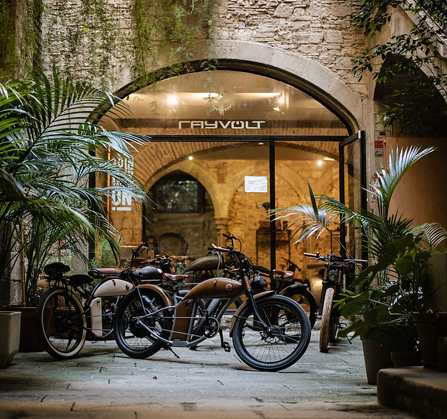 Biciclette Elettriche Vintage | Rayvolt Bike Italia