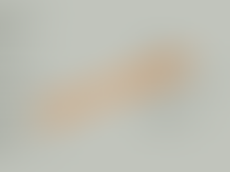 Anpassung des Schützenfest-Ablaufs: Konzepte in Arbeit – Mitwirkung erwünscht