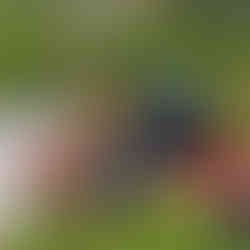 Mini Feuerwehrfahrzeug