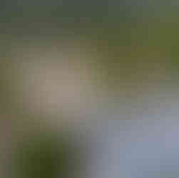 Luftaufnahme Vatertag