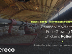 Denmark Moves Towards a Ban on "Turbo Chickens" as Parliamentary Support Grows