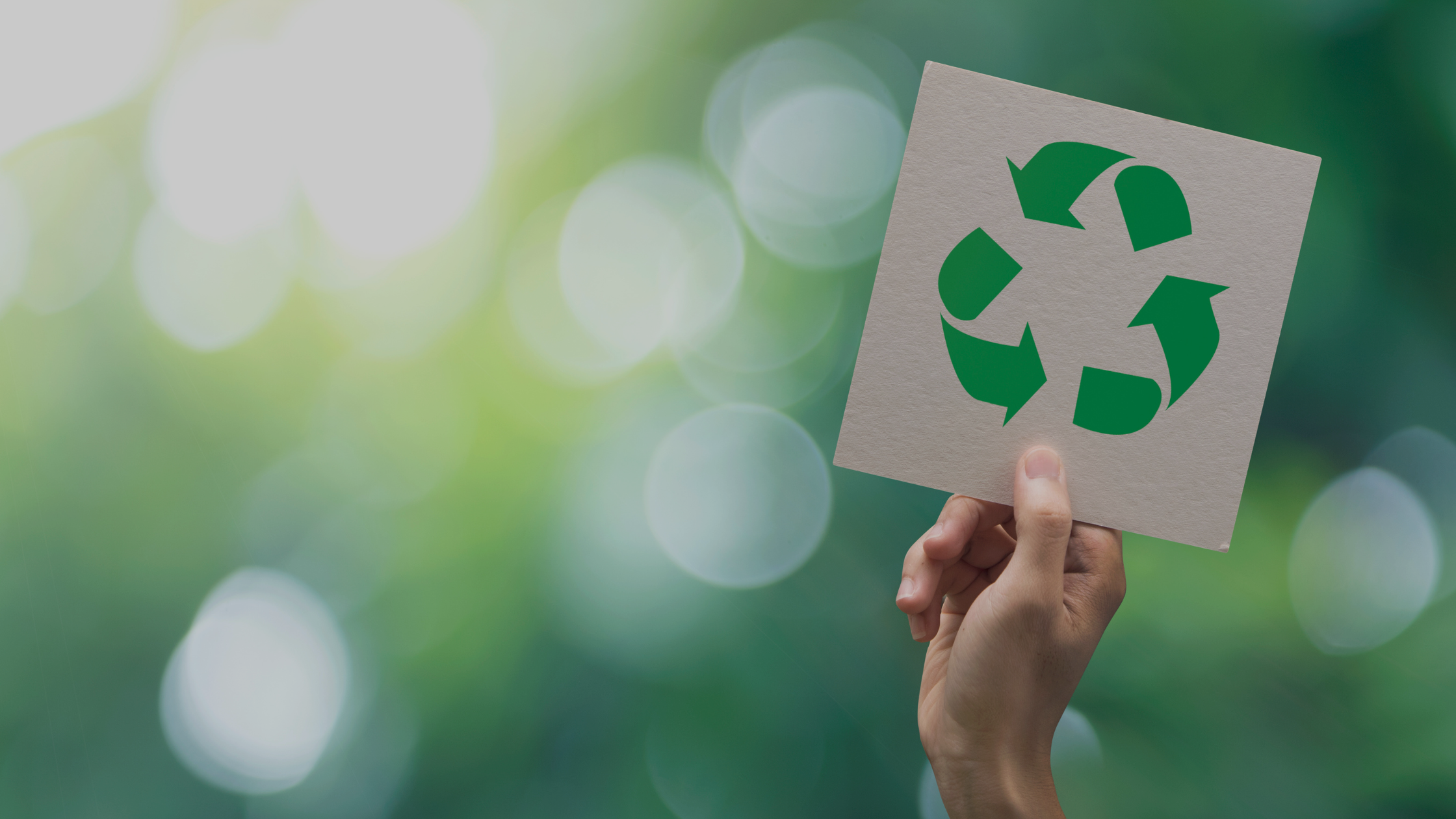 The Recycle Check, an impactful technological help