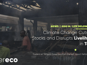 Climate Change Cuts Fish Stocks and Disrupts Livelihoods in Tanga