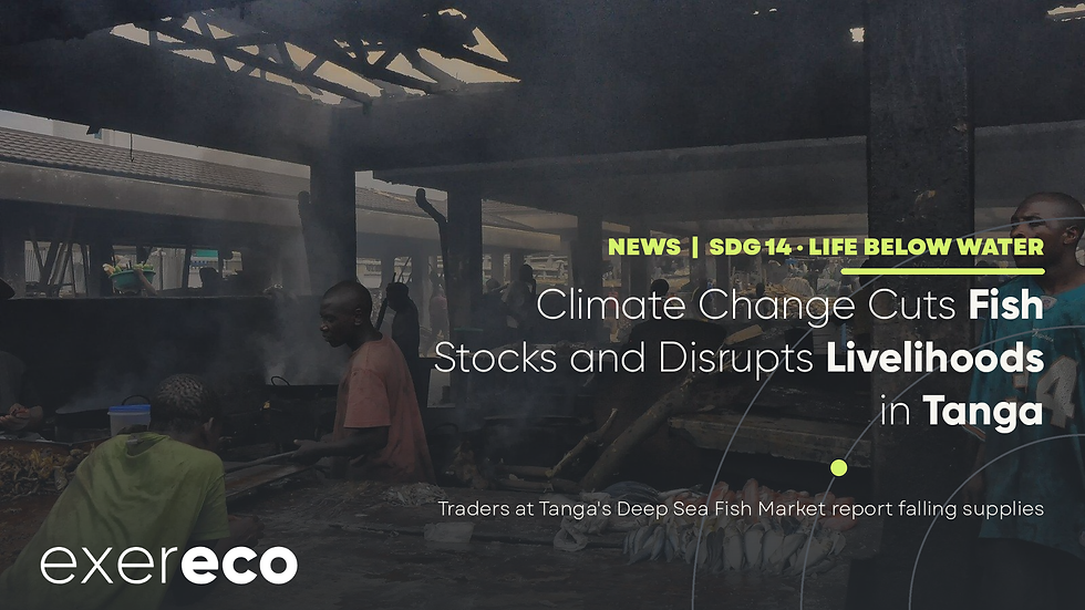 Climate Change Cuts Fish Stocks and Disrupts Livelihoods in Tanga